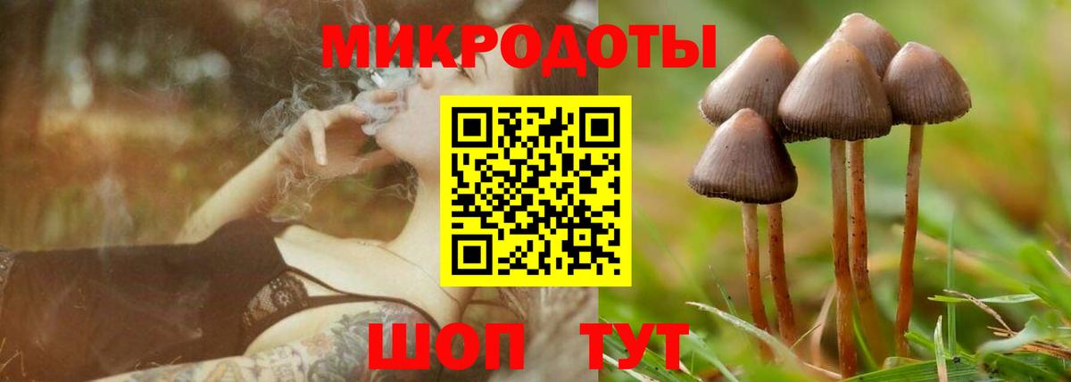 Рузаевка  Псилоцибиновые грибы MAGIC MUSHROOMS  Вход с VPN 